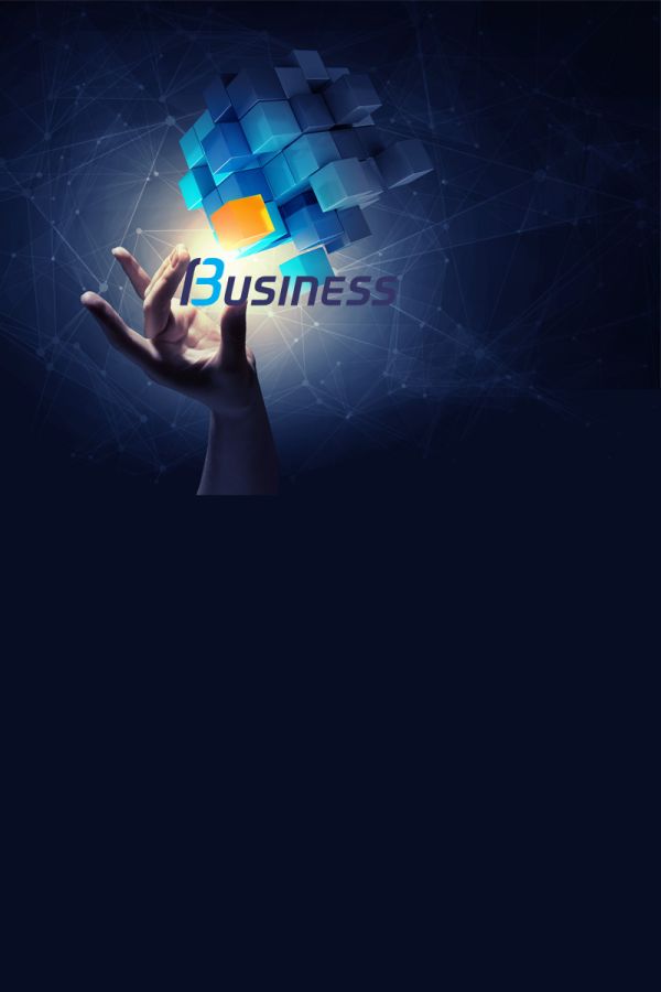 Software ERP Business Cube a Brescia